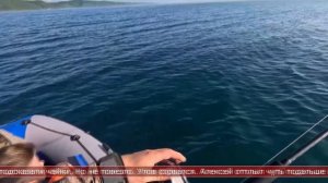 07.08.2025 Сахалинские блоги. АЛЕКСЕЙ НИКИТЦОВ. Этот гигант целый час катал меня по морю