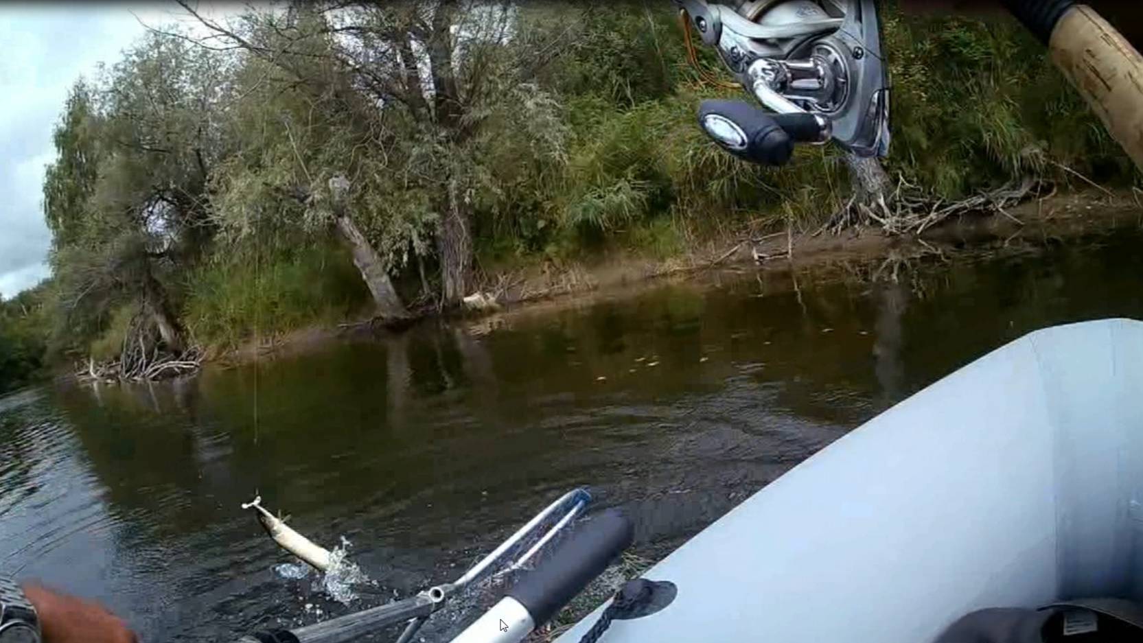 2025-08-05 Старица