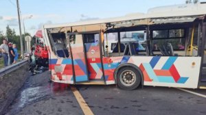 В МВД сообщили о семи пострадавших в ДТП на трассе "Кола" в Ленобласти