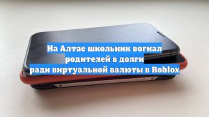 На Алтае школьник вогнал родителей в долги ради виртуальной валюты в Roblox