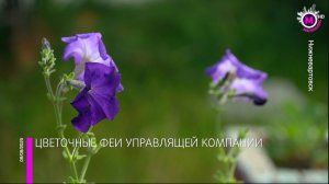 Итоги конкурса «Зеленый дворик» от управляющей компании «Диалог» - Нижневартовск