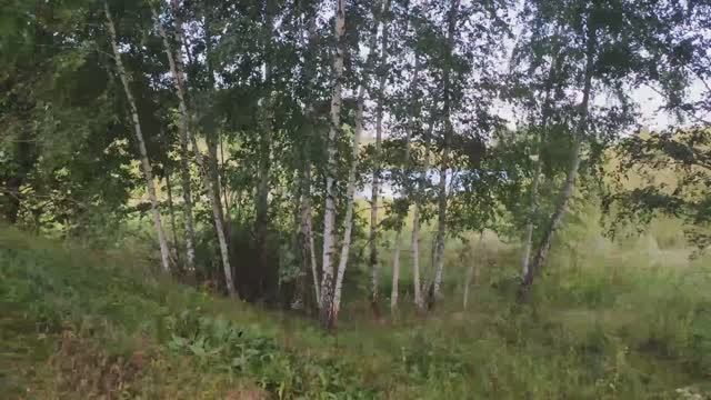 Здорово братья! Я Серега!