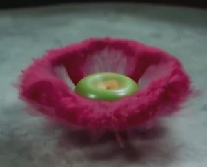 ЦВЕТНОЙ_МАКРО_БРЫЗГИ_ТАЙМЛАПС