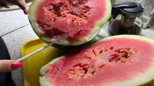 Купили дыню и бракованный арбуз 🍉🍉🍉