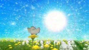 Лето РТК Утро