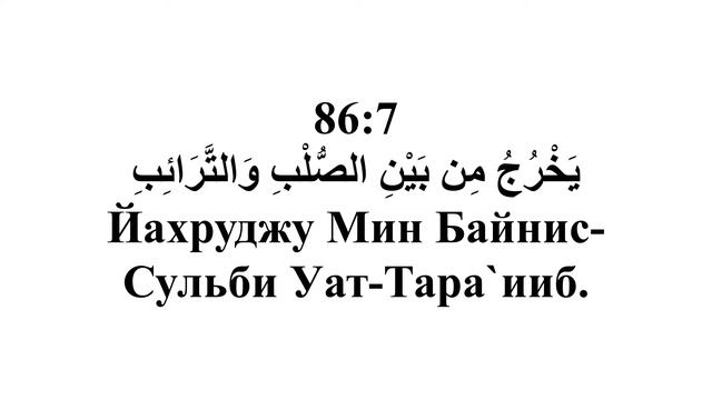 Сура 86. Ат-Тарик (Ночной путник) смотреть онлайн