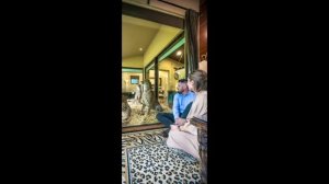 ОТЕЛЬ СО ЛЬВАМИ