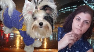 08-08-2025 Вязальнобытовой влог N° 28 Сделала карточки для МП. Ездили в Зоопарк.