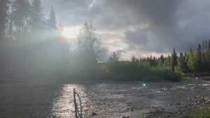 СУП 2025. 5 видео из 8.