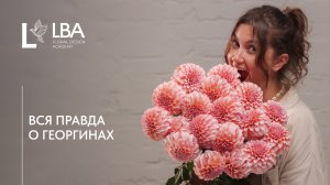 ГЕОРГИНЫ ДЛЯ ФЛОРИСТА | УХОД И ХРАНЕНИЕ | СОВЕТЫ LBA