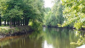 Вдоль Смоленки...(Санкт-Петербург)