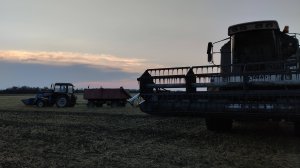 УБОРКА ПШЕНИЦЫ И ЯЧМЕНЯ 2025