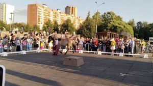 Парк Радуга.🌈 Фестиваль 🐎конное достояние. 2 часть. 8.08.25г