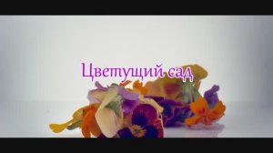 Валерий Парфёнов и Олеся Борисова - Цветущий сад