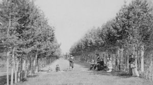 Николай и Капитолина Бутины |  Александр Литвинцев