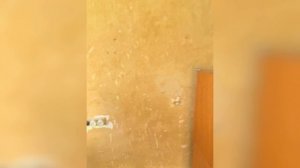 InShot_20250808_133800256.mp4