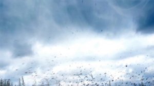 Лютый байкер