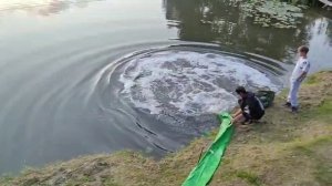 Запуск карпа 08.08.