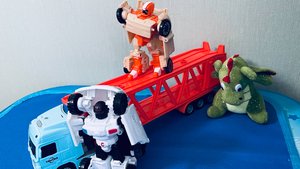 Тоботы и Дракоша