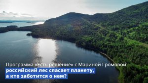 Программа «Есть решение» с Мариной Громовой: российский лес спасает планету, а кто заботится о нем?