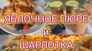 Шарлотка с яблоками. Яблочное пюре. Рецепты из яблок. Вкусно, просто и бысто!