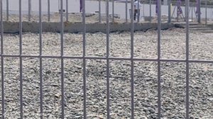 Пляж Сукко и ВДЦ Смена в 10:49 8 августа 2025 года