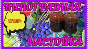 Настойка из винограда! Не уступает виноградному вину!