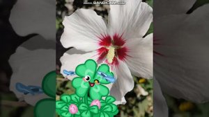 "Я назову планету именем твоим"