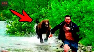 Я ржал до слез 😂 30 Минут смеха 2025 Смешные видео Приколы с животными!Подборка #19