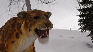 Чем заняться с детьми в Красной поляне, если они не катаются на лыжах