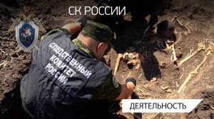 В Запорожской области сотрудниками СК России обнаружены останки бойцов Красной армии