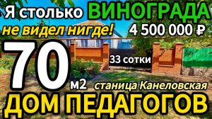 🏡Два Дома + Виноград ! 70 м2🦯33 сотки🦯4 500 000 ₽🦯станица Канеловская🦯89245404992 Виктор С🌴