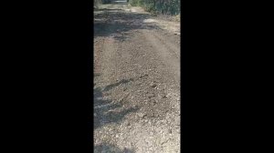 Подсыпка асфальтной крошкой дорожки рядом с Центром единоборств.