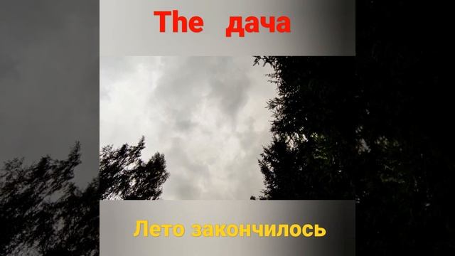 Вот лето и закончилось / The end of summer #shorts