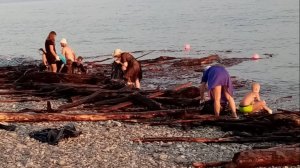 Побережье черного моря в Сириусе. 8.08.25