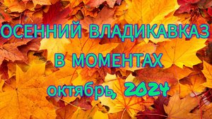 Осенний Владикавказ в моментах. Октябрь, 2024