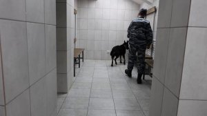 Место происшествия 08-08-2025