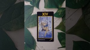 Для начинающих.Таро Манара.Старший аркан Умеренность.