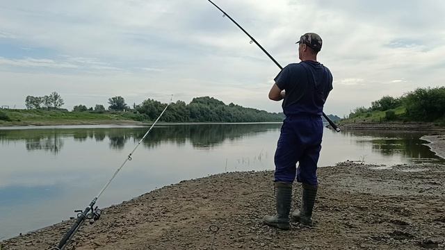 Гирлянда из плотвы. смотреть онлайн