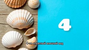 ПРАВИЛА ЭТИКЕТА ВО ВРЕМЯ ОТПУСКА 🏖️