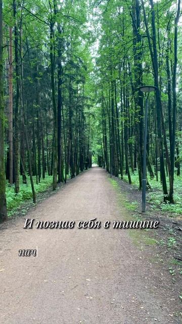 И познав себя в тишине, начинается тихая радость… смотреть онлайн