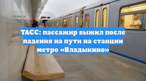ТАСС: пассажир выжил после падения на пути на станции метро «Владыкино»