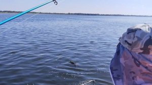 Один воблер делает всю рыбалку!🎣🐟🛥️