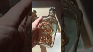 Где я храню Элизиум Бакста и капсулы времени из разных путешествий