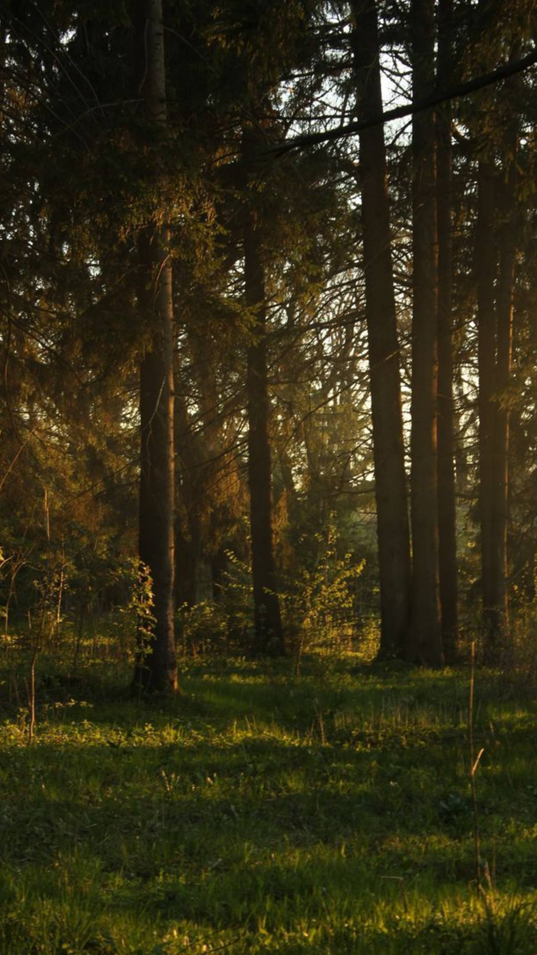 Инфа по сериалу!!!