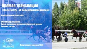Прямая трансляция 8 Августа 2025 - 20 день испытаний лошадей