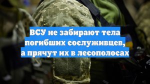 ВСУ не забирают тела погибших сослуживцев, а прячут их в лесополосах