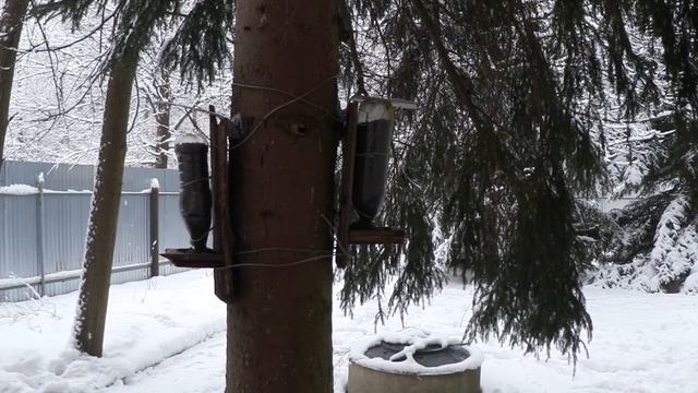 Кормушка для птиц зимой и наша забота о братьях меньших. Опять дача. Опять всякие разные идеи DIY