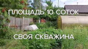 VID_20250808_173456_338.mp4 дача