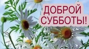 ДОБРОЕ УТРЕЧКО, ЛЮБИМАЯ СУББОТА!